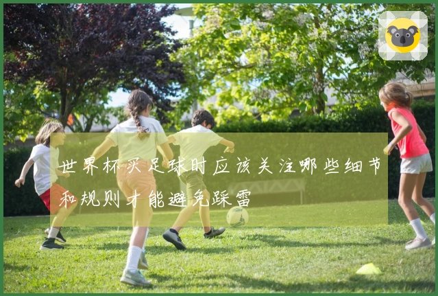 世界杯买足球时应该关注哪些细节和规则才能避免踩雷