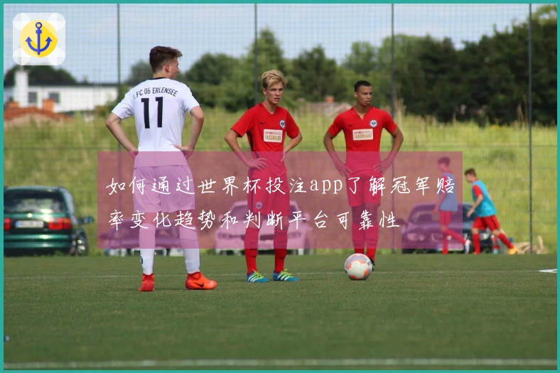 如何通过世界杯投注app了解冠军赔率变化趋势和判断平台可靠性