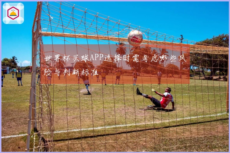 世界杯买球APP选择时需考虑哪些风险与判断标准