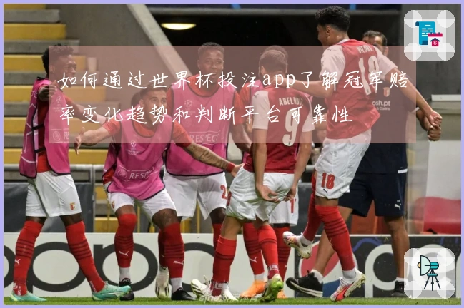 如何通过世界杯投注app了解冠军赔率变化趋势和判断平台可靠性