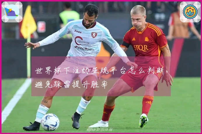 世界杯下注的正规平台怎么判断，避免踩雷提升胜率