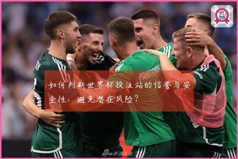 如何判断世界杯投注站的信誉与安全性，避免潜在风险？