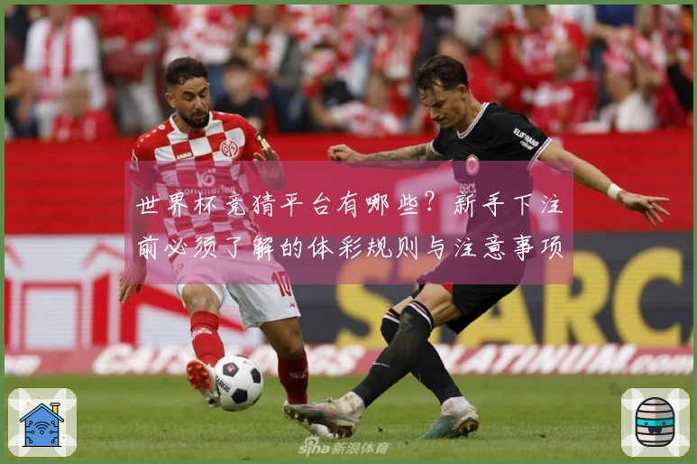 世界杯竞猜平台有哪些？新手下注前必须了解的体彩规则与注意事项
