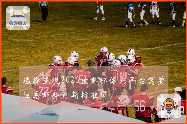 选择正规2026世界杯体彩平台需要注意哪些判断标准吗